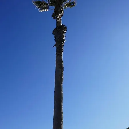Bel Accès Direct Mer; L'almanarre, * Hyères
