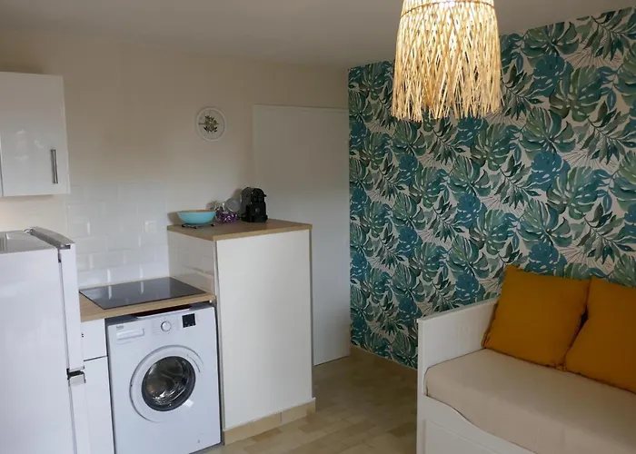 Bel Accès Direct Mer; L'almanarre, Appartamento