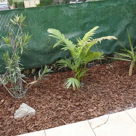 Apartment Bel Acces Direct Mer; L'almanarre,