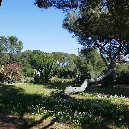 Bel Acces Direct Mer; L'almanarre, Hyeres