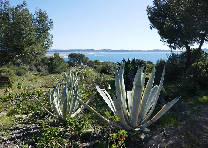 Apartment Bel Acces Direct Mer; L'almanarre, Hyeres