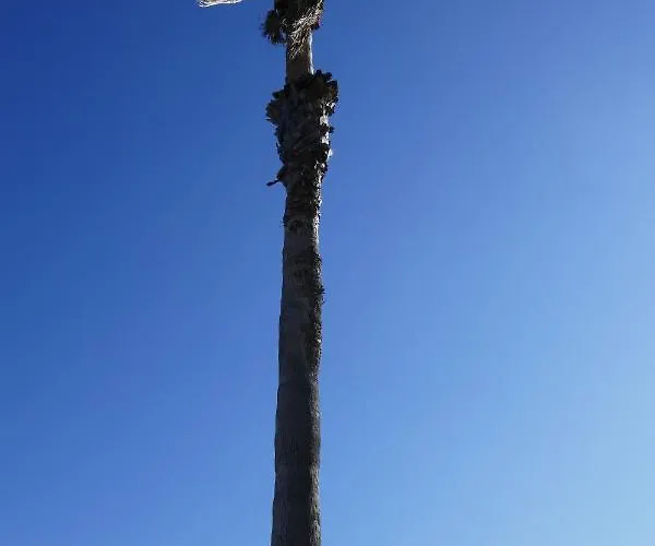 Bel Acces Direct Mer; L'almanarre, * Ιέρ