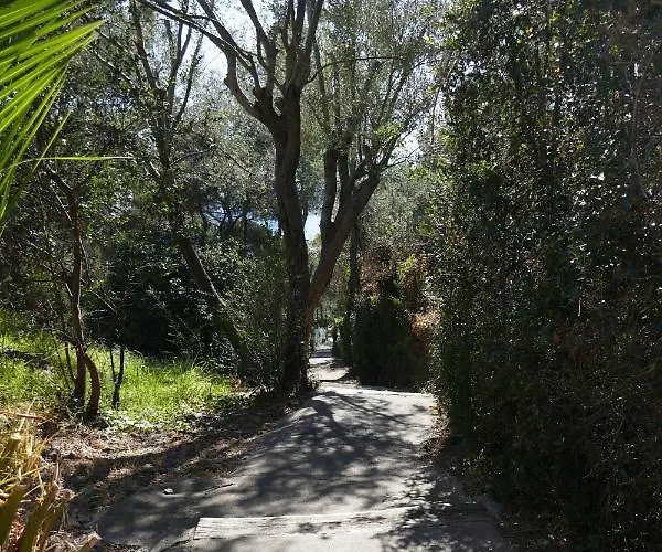 Bel Acces Direct Mer; L'almanarre, Διαμέρισμα