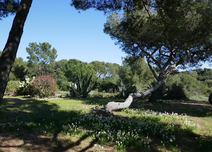 Bel Acces Direct Mer; L'almanarre, הייר